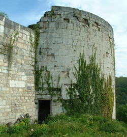 Le château médiéval de Vignory